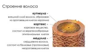 Корейские филлеры для волос: гладкие и блестящие пряди вместо тусклых и безжизненных