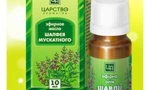 Масло шалфея: польза и особенности применения