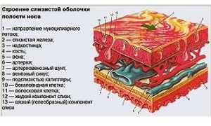 Камфорное масло при насморке