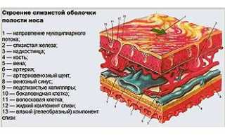 Камфорное масло при насморке