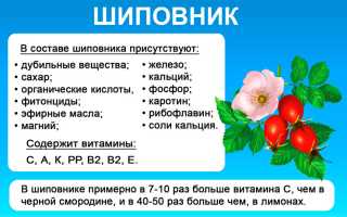 Народные методы лечения хронического фарингита