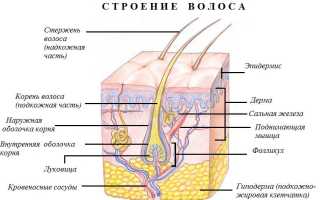 Безопасная эпиляция для беременных — это реально