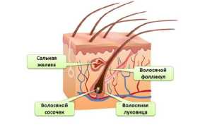 Разница между эпиляцией и депиляцией