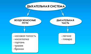 Причины и лечение неприятного запаха из носоглотки