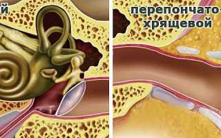 Кровь в ушах при чистке – что это?