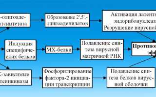 Список противовирусных капель для носа