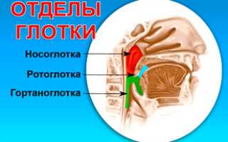 Как вылечиться от фарингита народными средствами