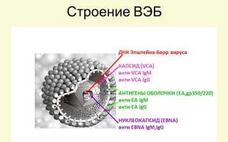 Что такое катаральная ангина