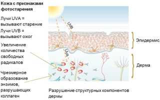 Антивозрастные кремы от морщин: выбираем и пользуемся