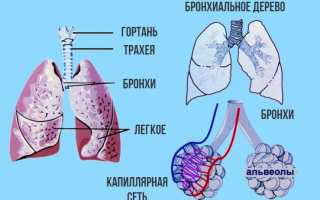Принципы лечения трахеита у беременных