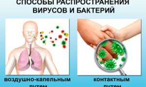 Можно ли заразиться от больного с насморком