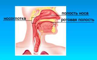 Промывание носа солевым раствором при насморке