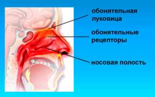 Прогревание носа солью при насморке