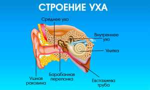 Почему закладывает уши и нос при насморке