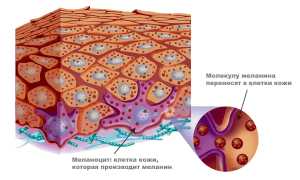 Можно ли загореть через автомобильное или оконное стекло