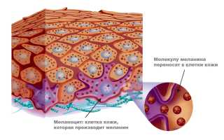 Можно ли загореть через автомобильное или оконное стекло