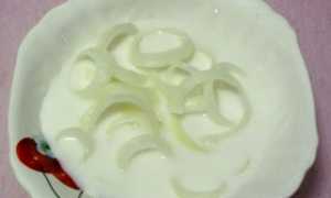 Народные рецепты от кашля: лук с медом