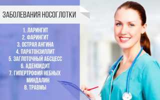 Носоглотка – строение и функции
