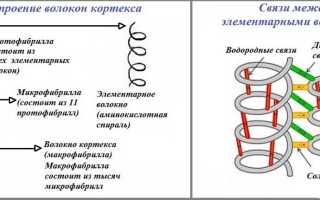 Олаплекс: спасение для волос или раскрученная пустышка?