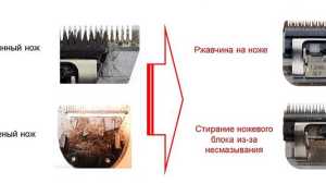 Как смазать машинку для стрижки волос и подобрать масло