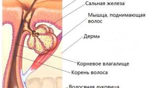 Эпиляция против усиков: решительный бой