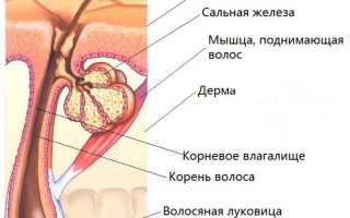 Эпиляция против усиков: решительный бой