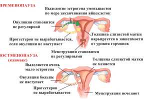 Контрацепция после 40 лет: обзор популярных средств предохранения