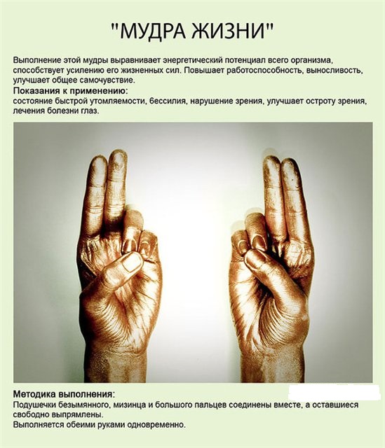 Мудра жизни