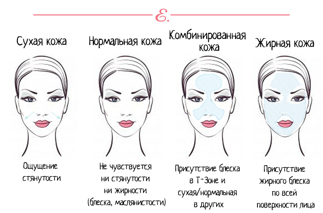 4 основных типа кожи