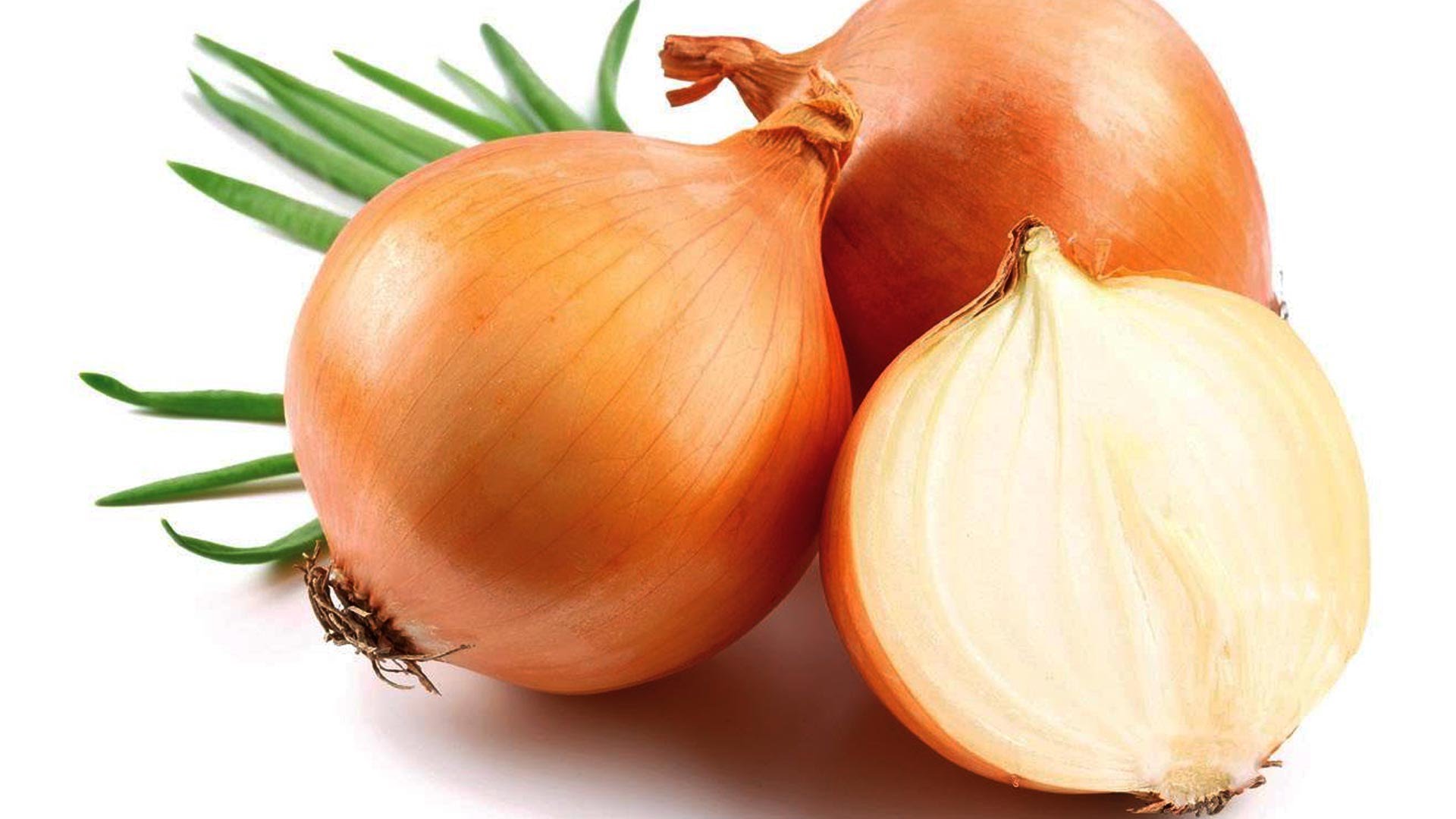 Лук