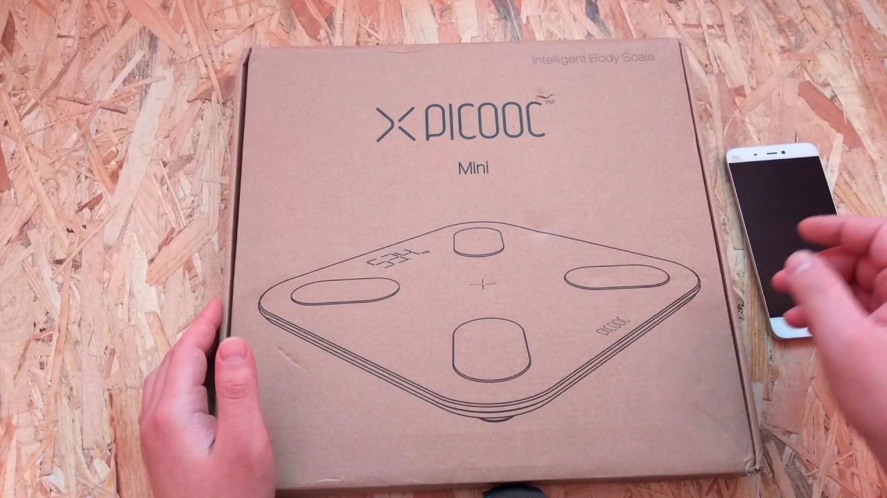 Picooc Mini WH