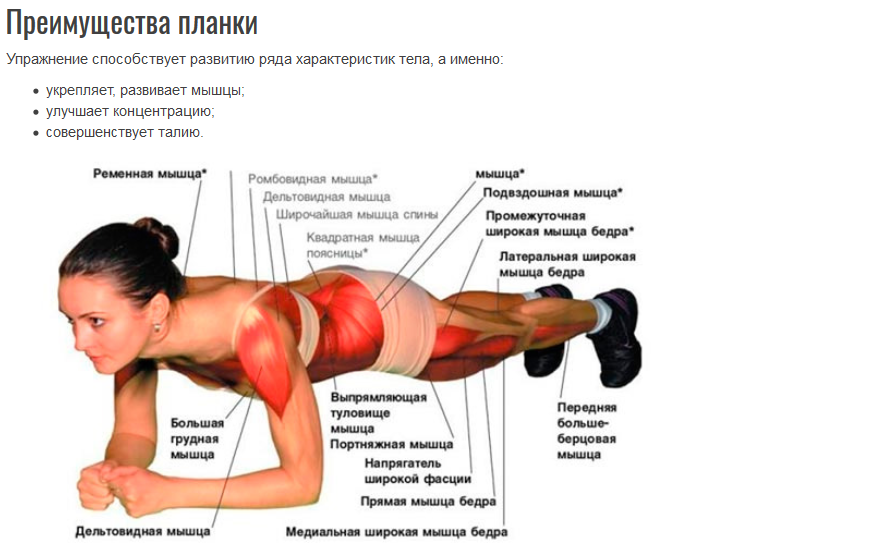 Упражнение планка с описанием мышц и воздействием на них