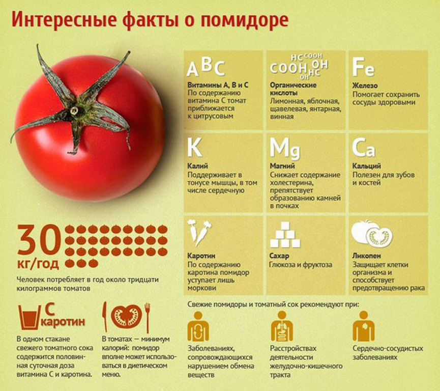 Полезные свойства помидоров