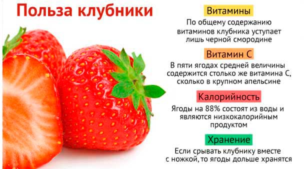Польза клубники