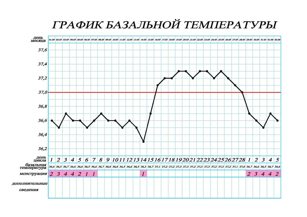 График измерения базальной температуры