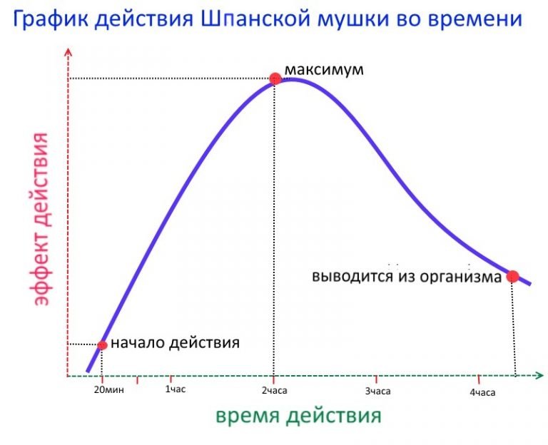 Эффект действия шпанской мушки на организм