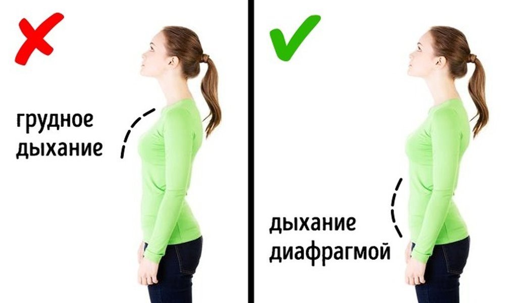 Дыхание грудью и диафрагмой