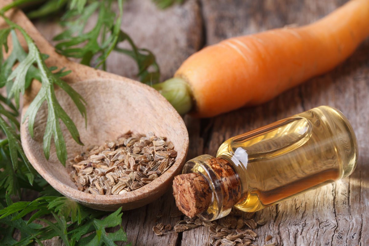 Масло семян моркови