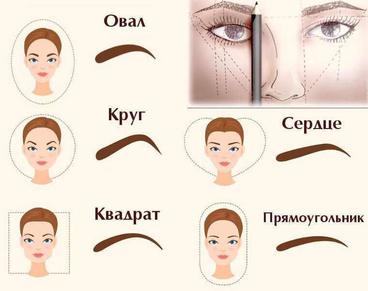 Типы лица и линия бровей