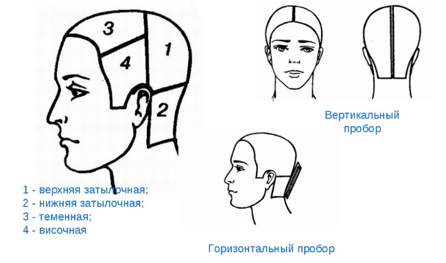 Разделение волос на зоны