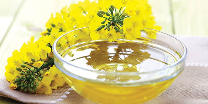 Рыжиковое масло и цветы рыжика