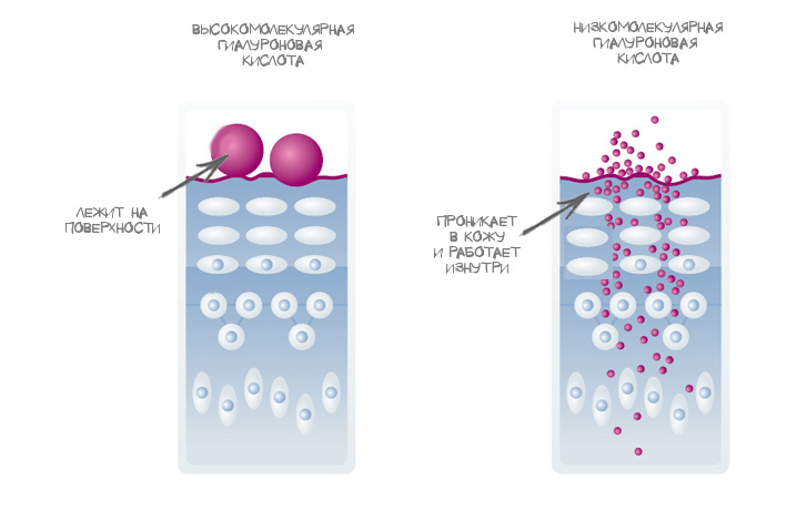 Схема проникновения гиалуроновой кислоты под кожу