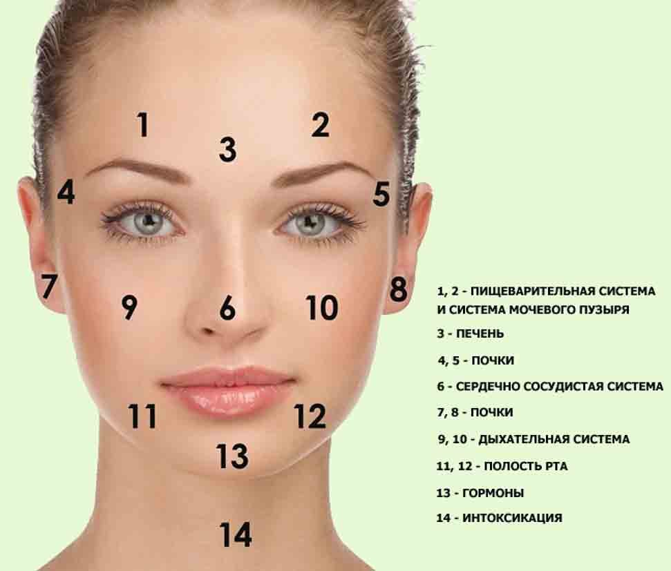 Точки на лице, связанные с внутренними органами