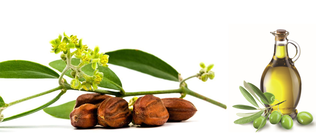 Жожоба для волос